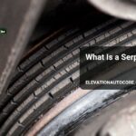 what is a serpentine belt