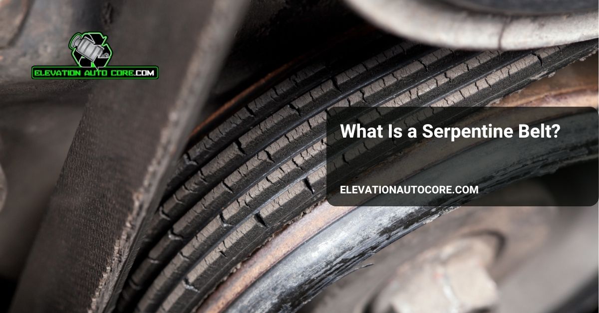 what is a serpentine belt