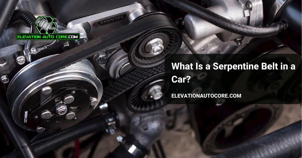 what is a serpentine belt in a car